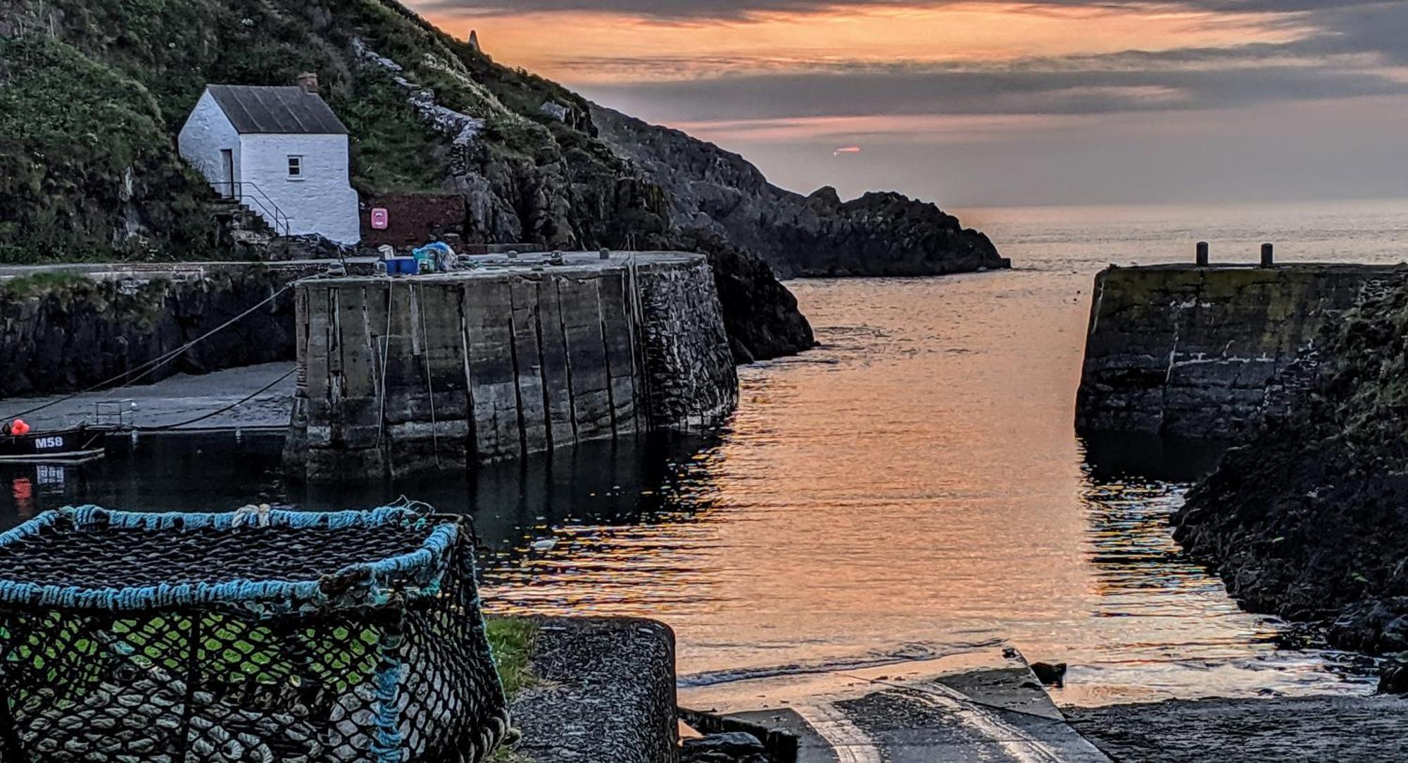 Ivybridge Guesthouse Fishguard Eksteriør billede